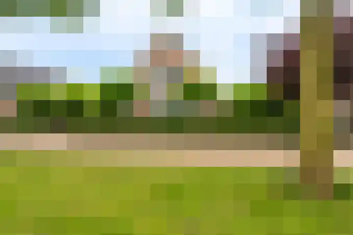 Buitensingel 83 Sappemeer thumbnail 7