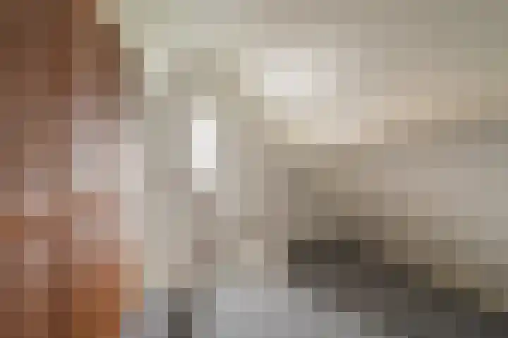Buitensingel 83 Sappemeer thumbnail 72