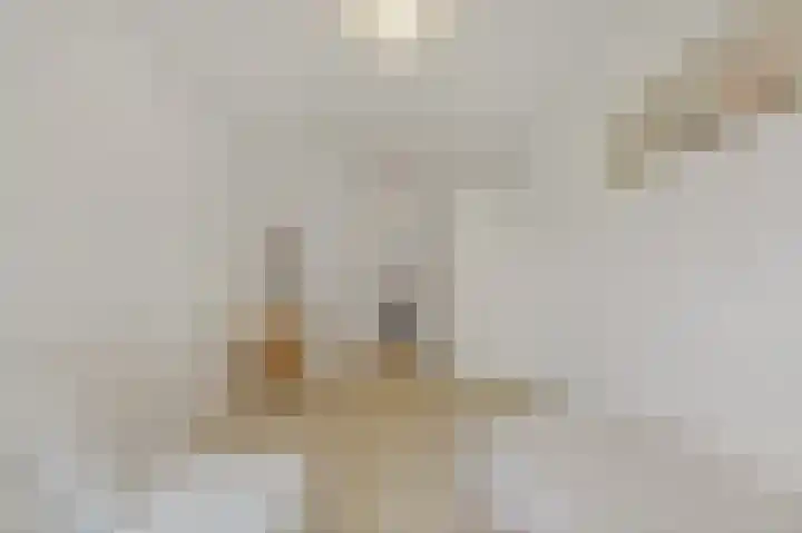Buitensingel 83 Sappemeer thumbnail 73