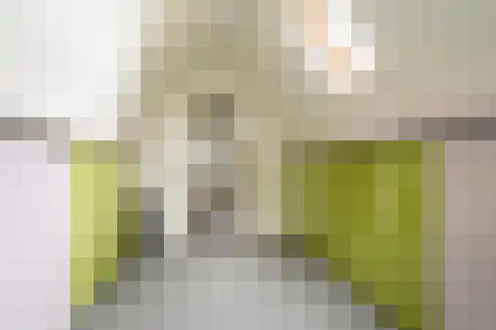 Buitensingel 83 Sappemeer thumbnail 73