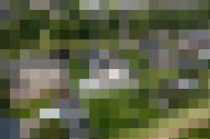 Buitensingel 83 Sappemeer thumbnail 75