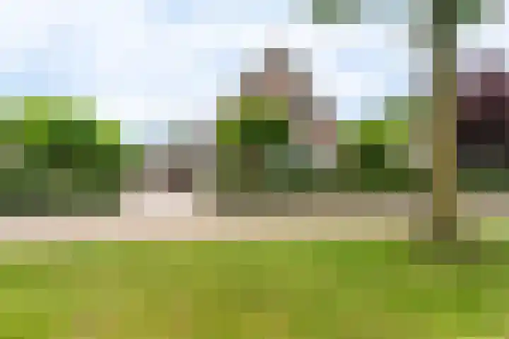 Buitensingel 83 Sappemeer thumbnail 8