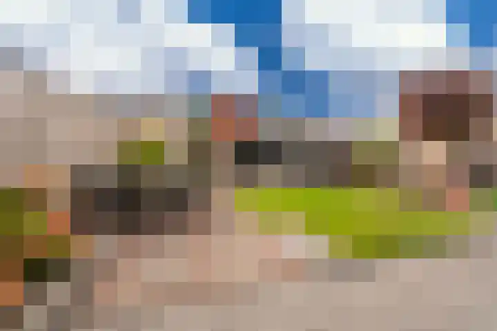 Buitensingel 84 Sappemeer thumbnail 4