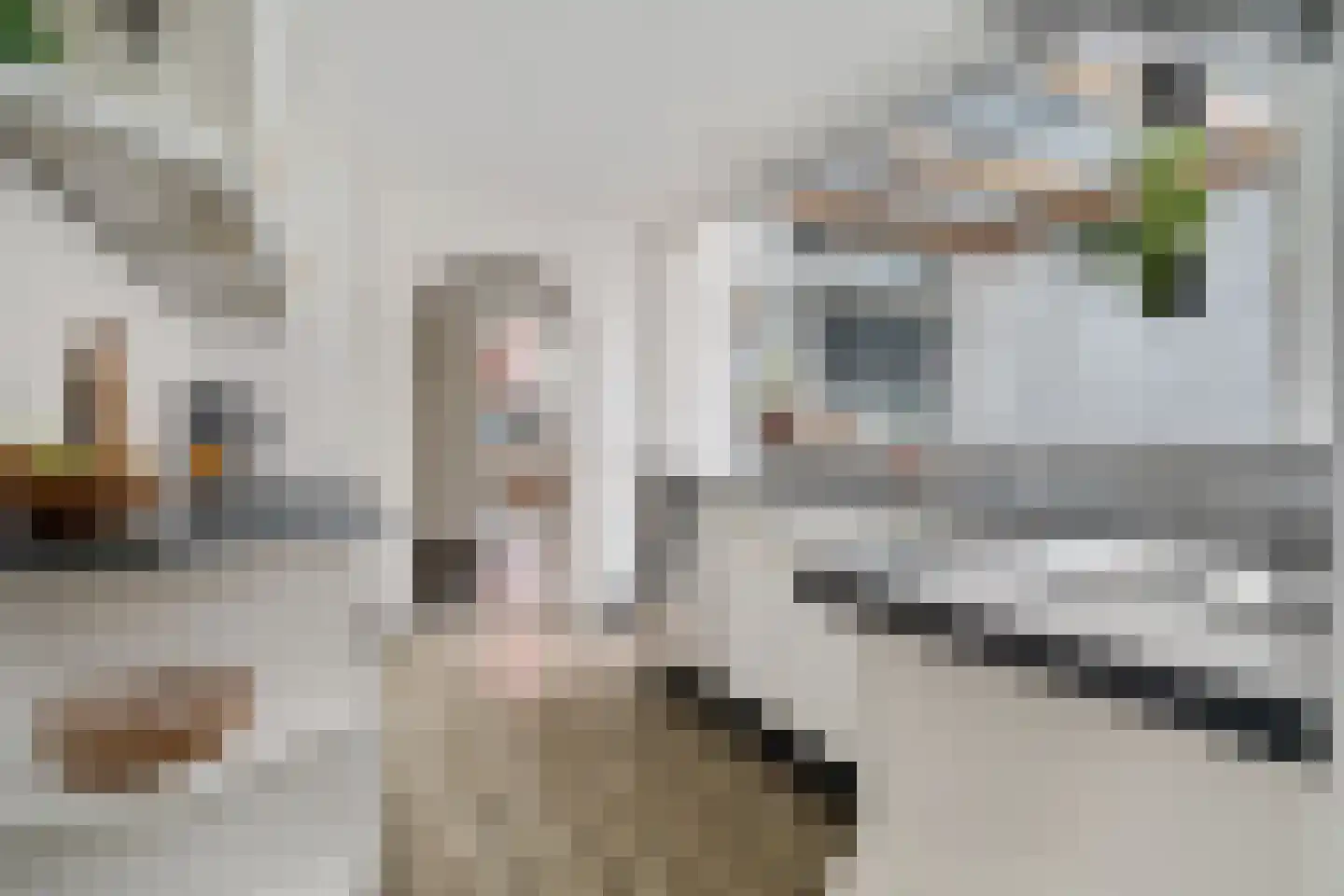 Buitensingel 90 Zutphen thumbnail 10
