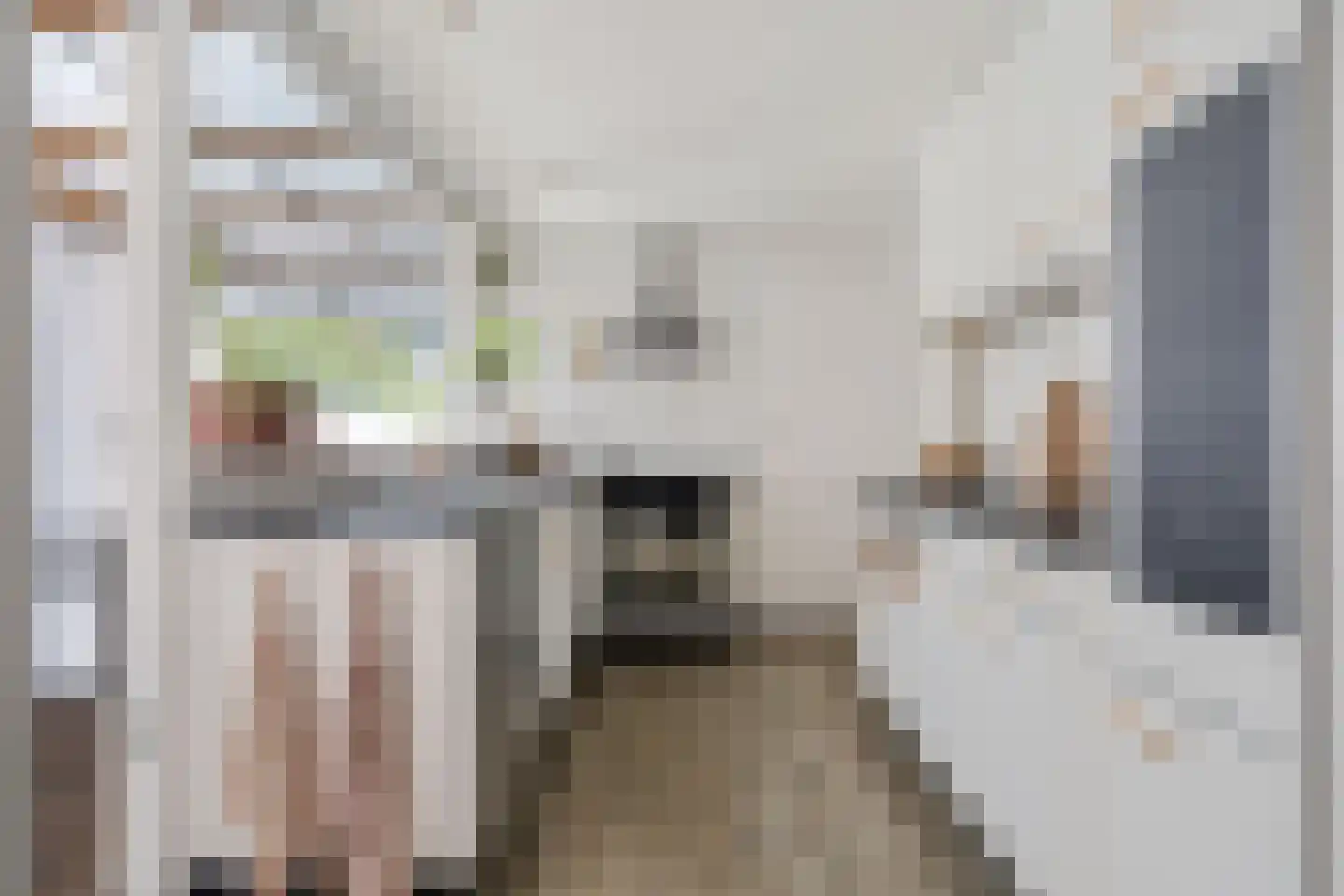 Buitensingel 90 Zutphen thumbnail 9