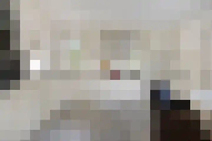Buitensingel 91 Sappemeer thumbnail 10