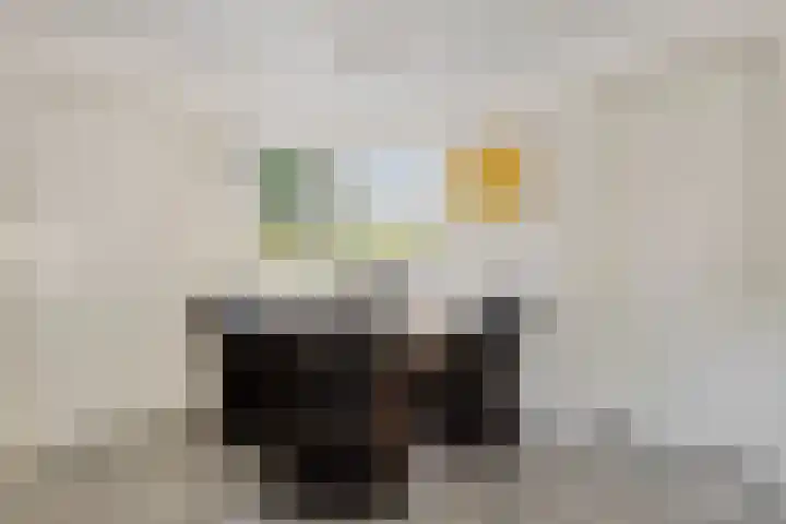Buitensingel 91 Sappemeer thumbnail 12