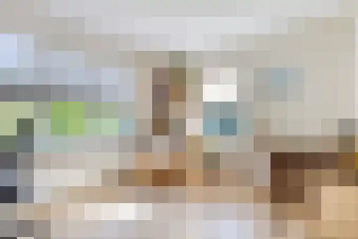 Buitensingel 91 Sappemeer thumbnail 17