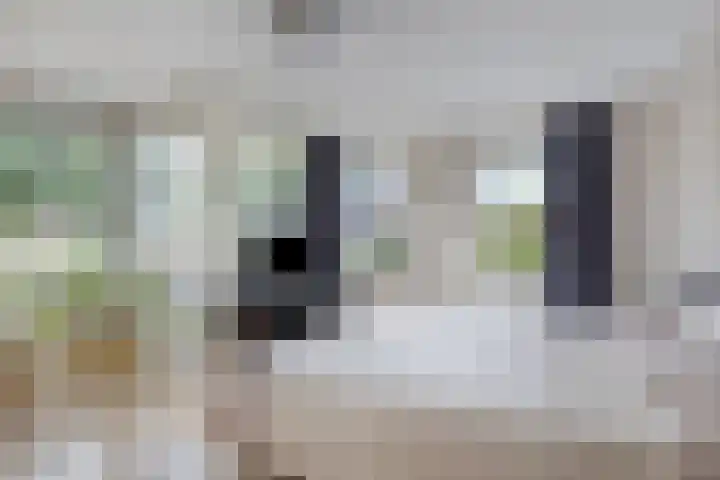 Buitensingel 91 Sappemeer thumbnail 22