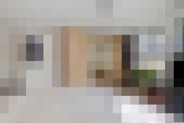 Buitensingel 91 Sappemeer thumbnail 23