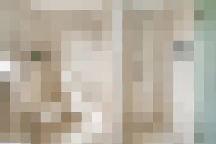 Buitensingel 91 Sappemeer thumbnail 25