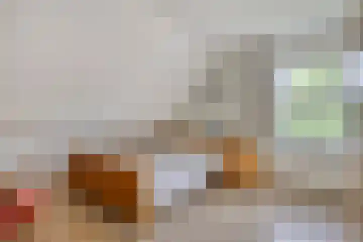 Buitensingel 91 Sappemeer thumbnail 26