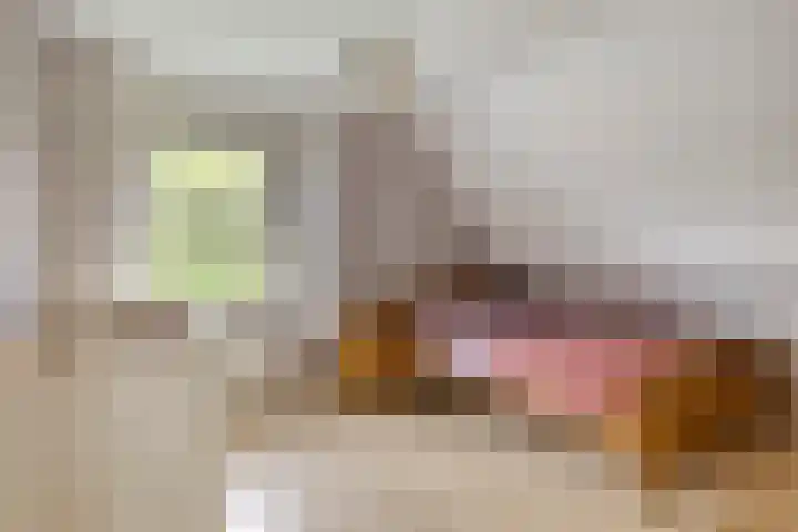 Buitensingel 91 Sappemeer thumbnail 27