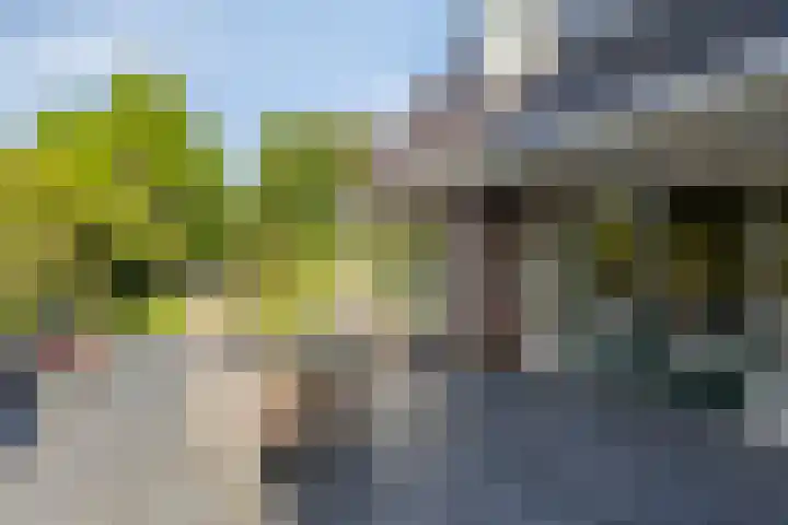 Buitensingel 91 Sappemeer thumbnail 35