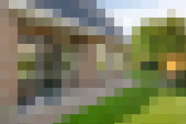 Buitensingel 91 Sappemeer thumbnail 40
