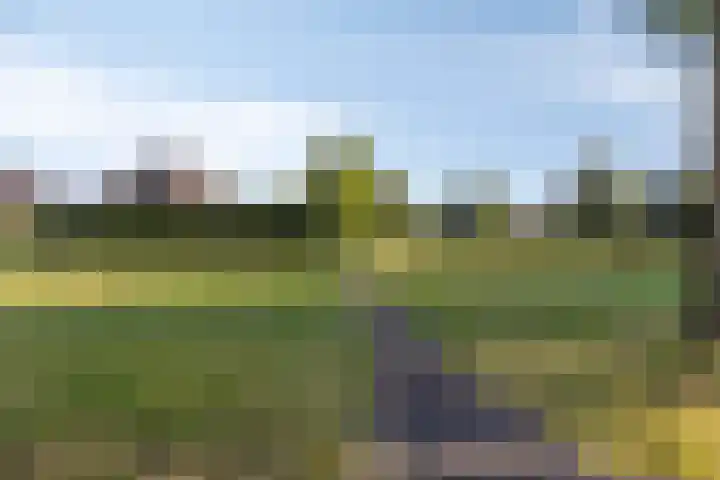 Buitensingel 91 Sappemeer thumbnail 43