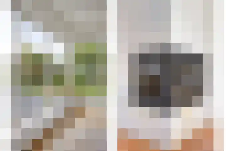 Buitensingel 91 Sappemeer thumbnail 9