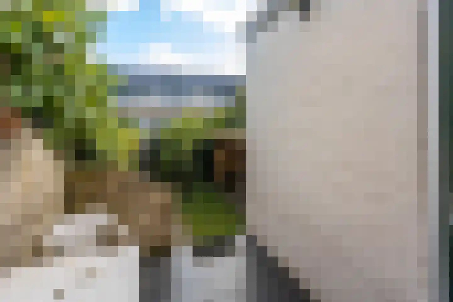 Buitensingel 96 Zutphen thumbnail 22