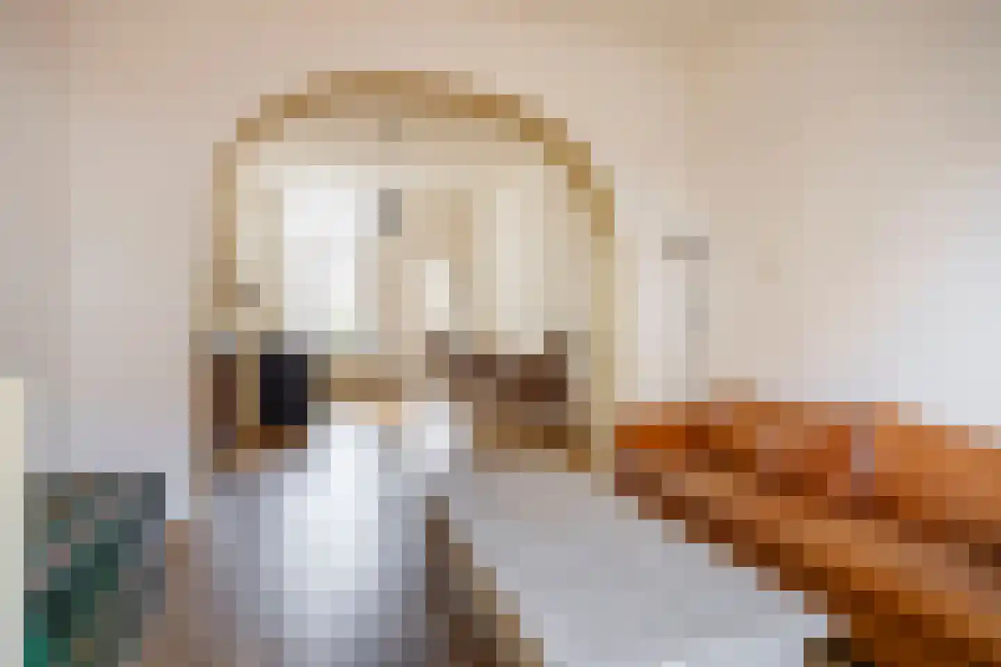Buitensingel 96 Zutphen thumbnail 7