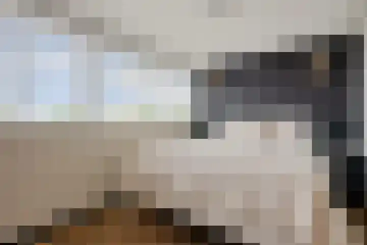 Buitenstad 27 Vianen thumbnail 15