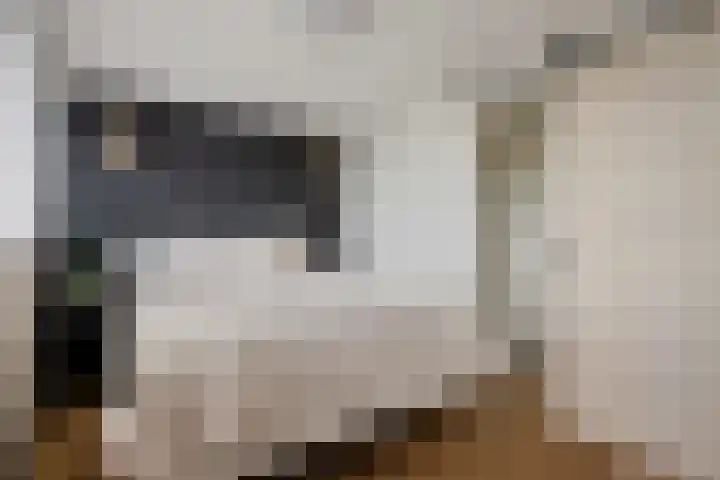 Buitenstad 27 Vianen thumbnail 16