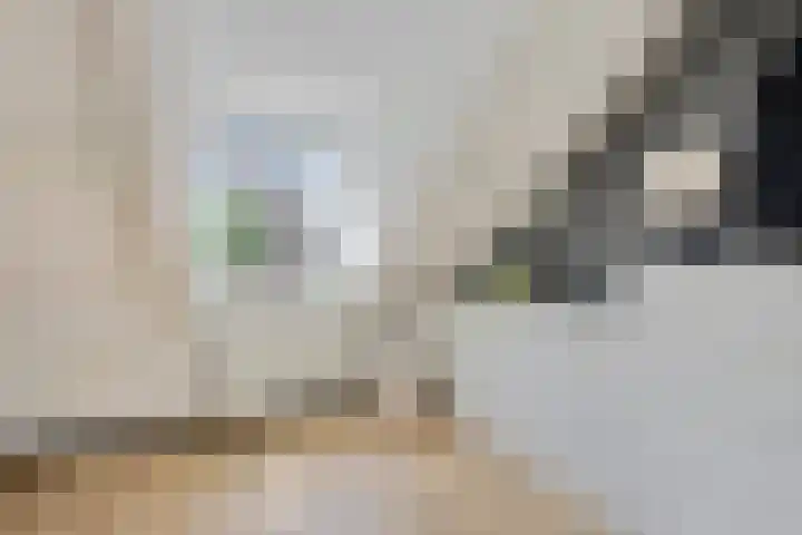 Buitenstad 27 Vianen thumbnail 21