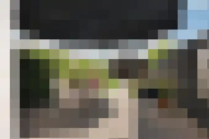 Buitenstad 27 Vianen thumbnail 23