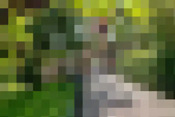 Buitenstad 27 Vianen thumbnail 28