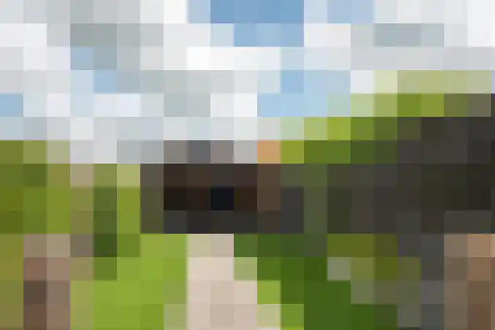 Buitenstad 27 Vianen thumbnail 4
