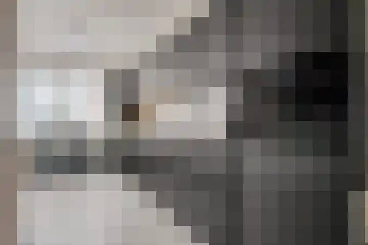 Buitenstad 27 Vianen thumbnail 7