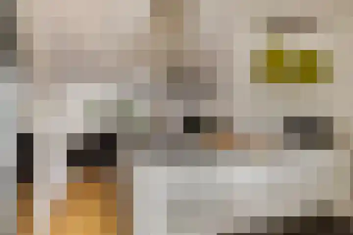Buitenstraat 11 b Tilburg thumbnail 6