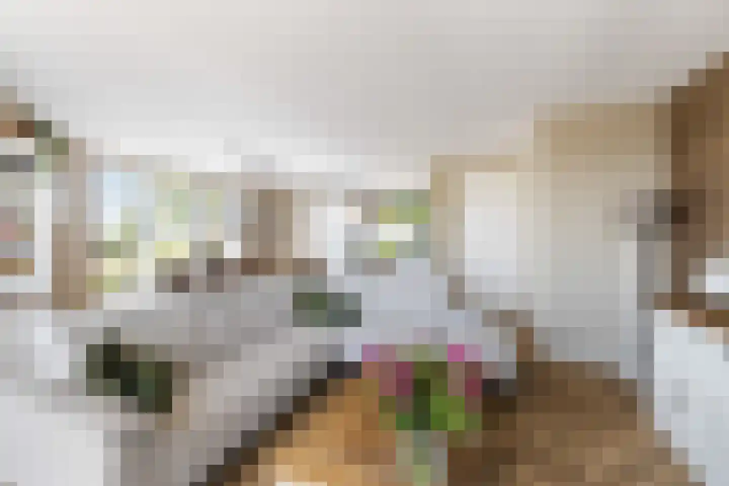 Buitenstuk 13 Gouda thumbnail 13
