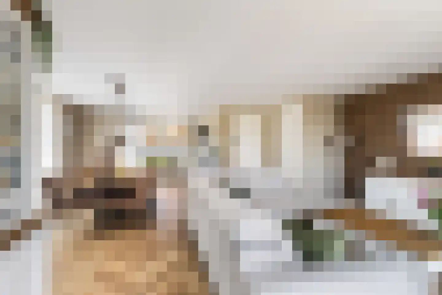 Buitenstuk 13 Gouda thumbnail 16