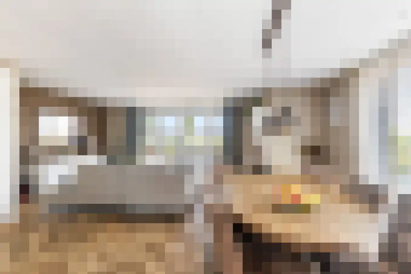 Buitenstuk 13 Gouda thumbnail 20