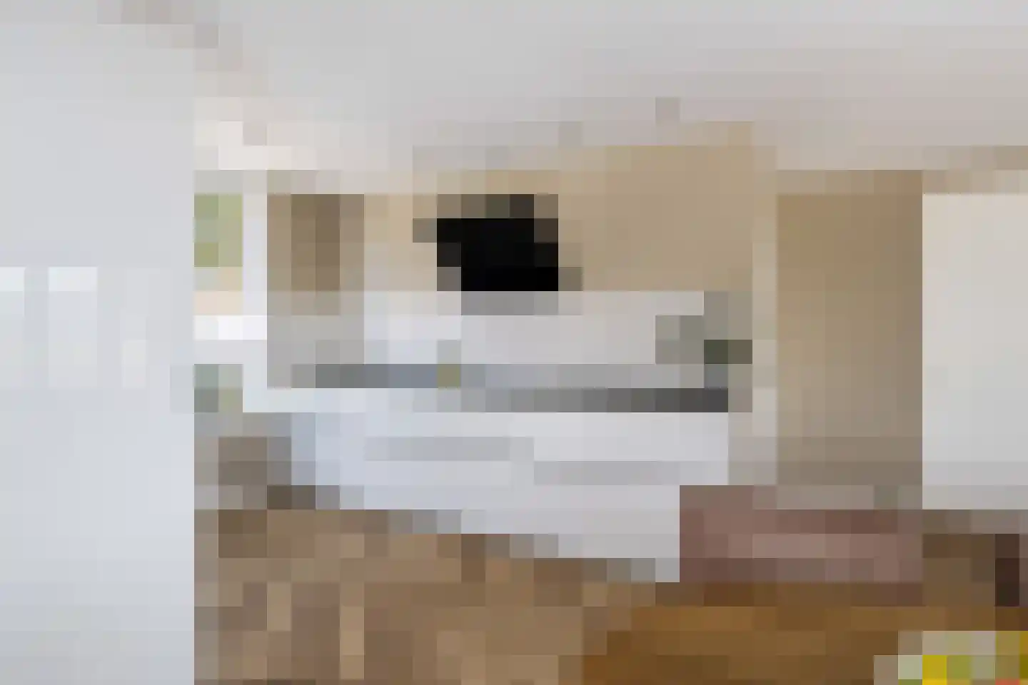 Buitenstuk 13 Gouda thumbnail 22
