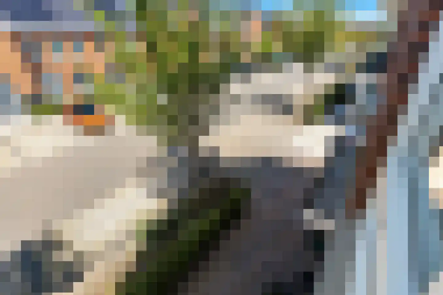 Buitenstuk 13 Gouda thumbnail 41