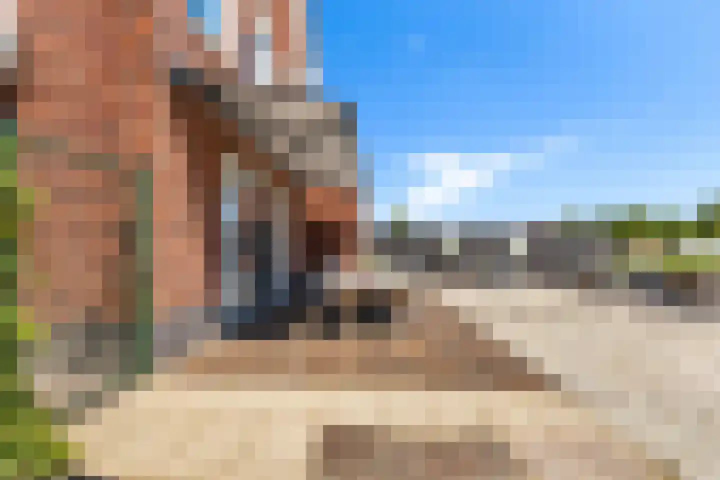 Buitenstuk 13 Gouda thumbnail 58
