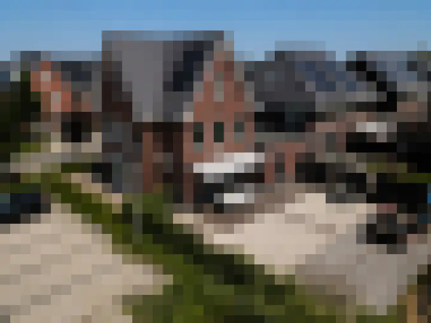 Buitenstuk 13 Gouda thumbnail 69