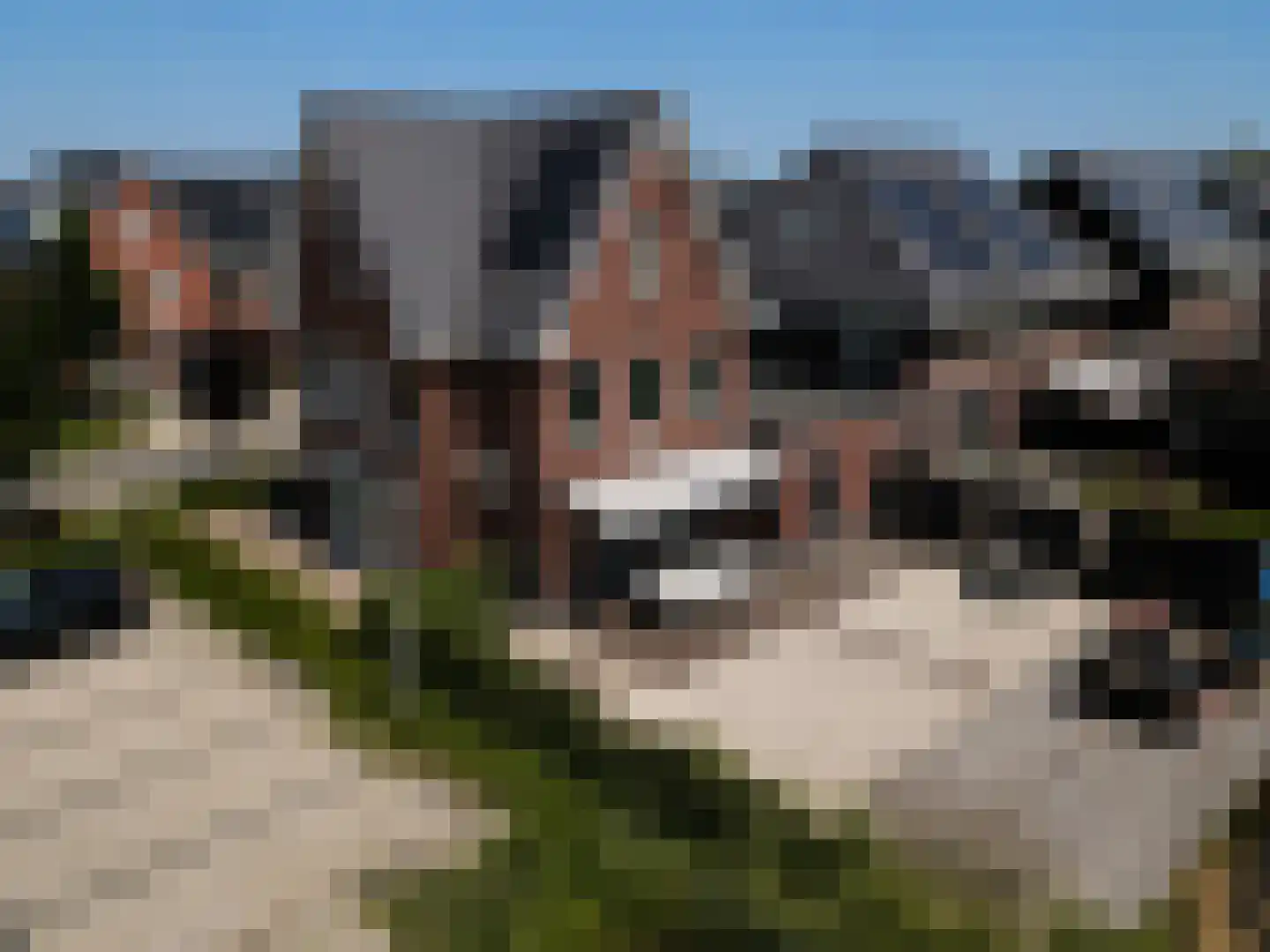 Buitenstuk 13 Gouda thumbnail 70
