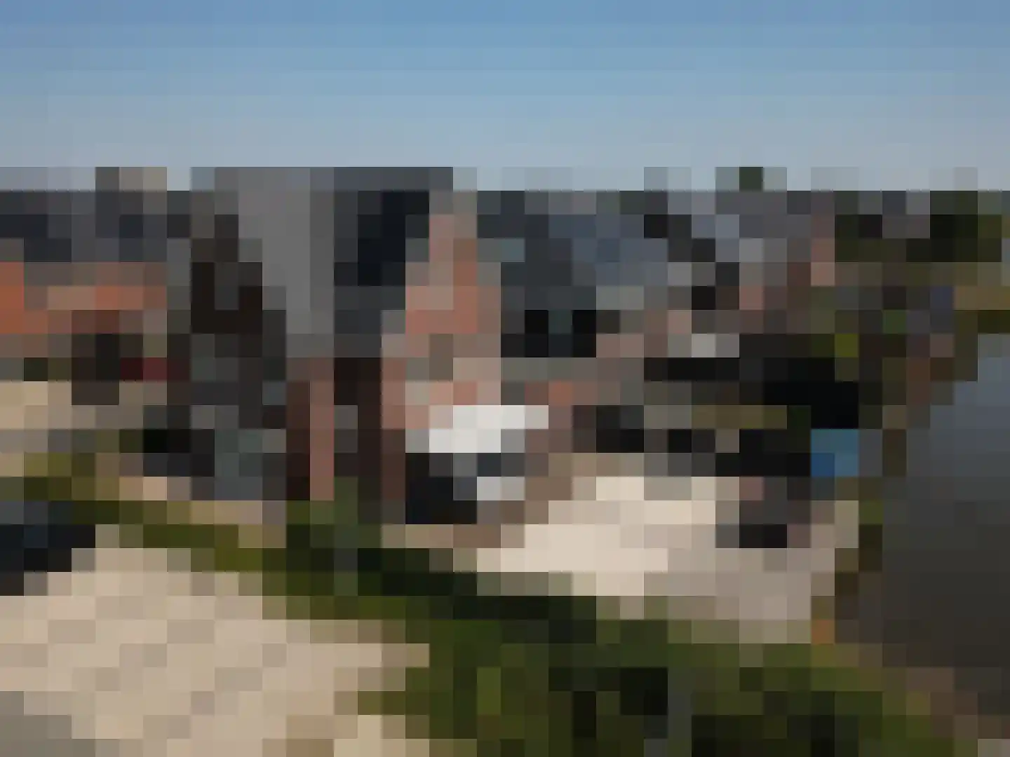 Buitenstuk 13 Gouda thumbnail 8