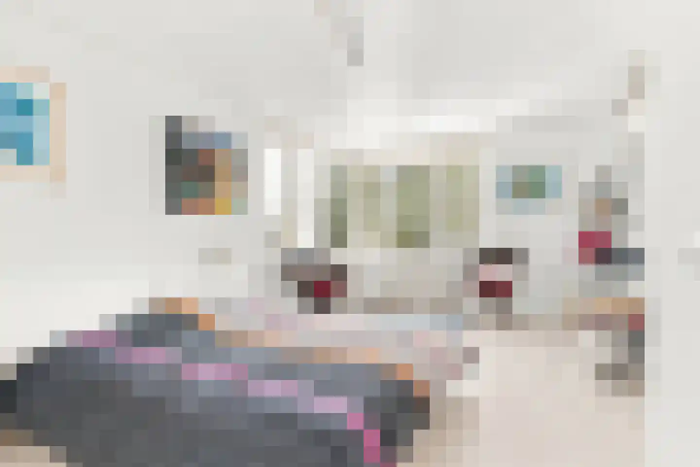 Buitentocht 2 Leiderdorp thumbnail 16