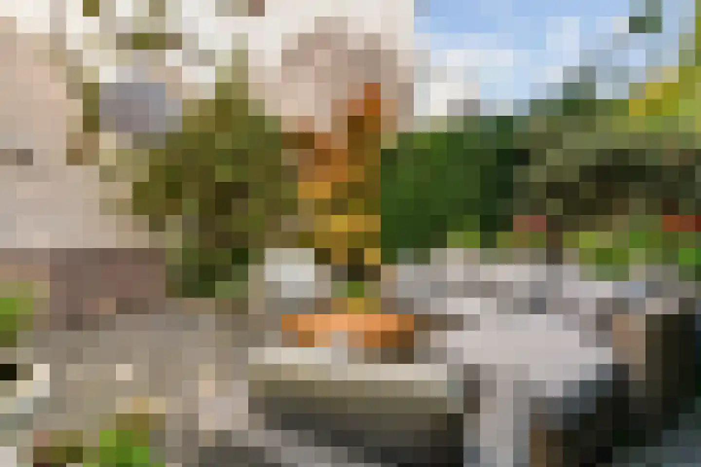 Buitentocht 2 Leiderdorp thumbnail 24