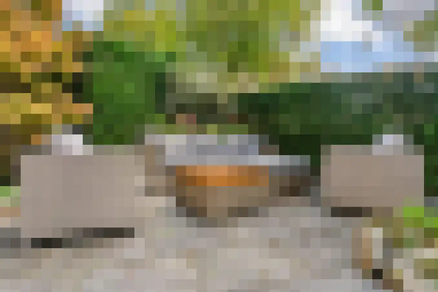 Buitentocht 2 Leiderdorp thumbnail 25