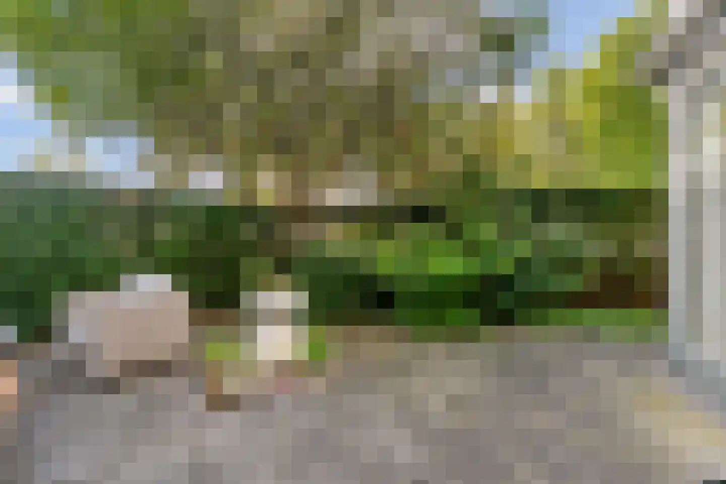 Buitentocht 2 Leiderdorp thumbnail 26