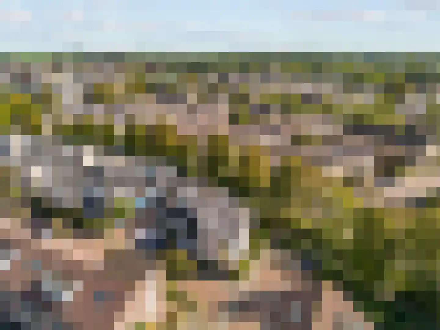 Buitentocht 2 Leiderdorp thumbnail 4
