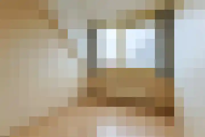 Buitentocht 37 Leiderdorp thumbnail 17