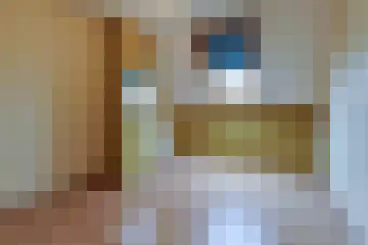 Buitentocht 37 Leiderdorp thumbnail 22