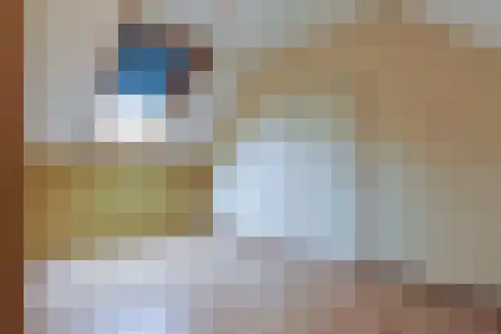 Buitentocht 37 Leiderdorp thumbnail 23