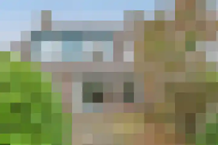 Buitentocht 37 Leiderdorp thumbnail 24