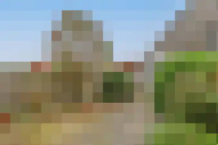 Buitentocht 37 Leiderdorp thumbnail 25